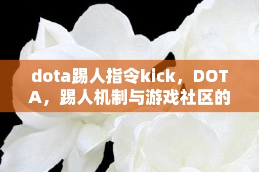 dota踢人指令kick，DOTA，踢人机制与游戏社区的平衡