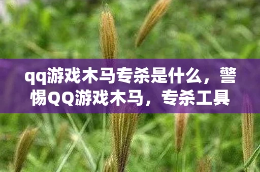 qq游戏木马专杀是什么，警惕QQ游戏木马，专杀工具助你守护账号安全