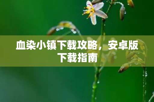 血染小镇下载攻略,安卓版下载指南 血染小镇下载攻略,安卓版下载指南