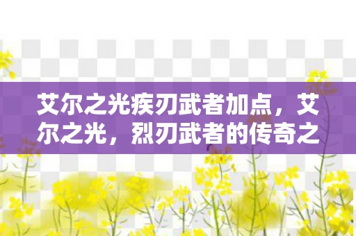 艾尔之光疾刃武者加点，艾尔之光，烈刃武者的传奇之路