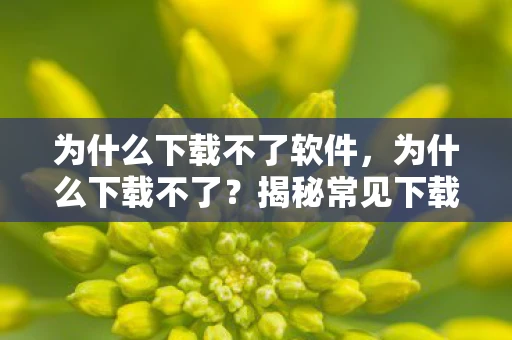 为什么下载不了软件，为什么下载不了？揭秘常见下载问题的原因与解决方案
