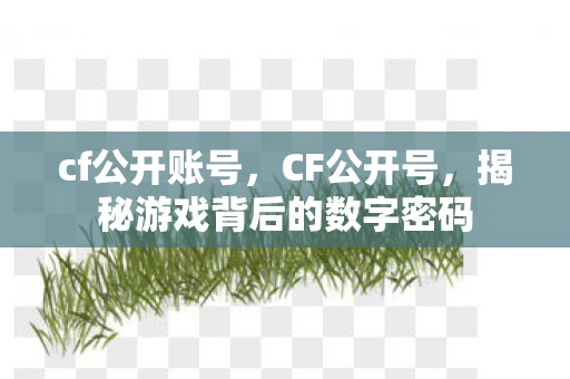 cf公开账号，CF公开号，揭秘游戏背后的数字密码