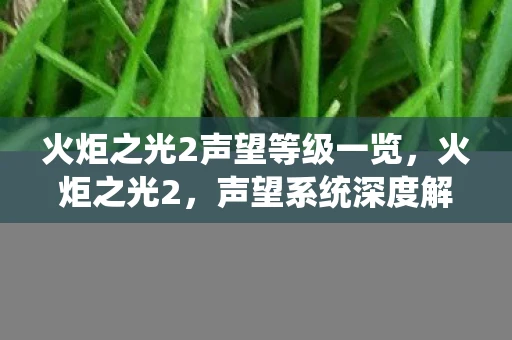 火炬之光2声望等级一览，火炬之光2，声望系统深度解析