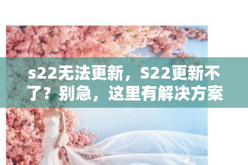 s22无法更新，S22更新不了？别急，这里有解决方案！