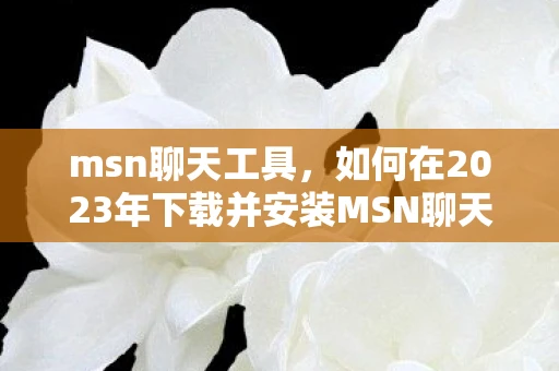 msn聊天工具，如何在2023年下载并安装MSN聊天工具