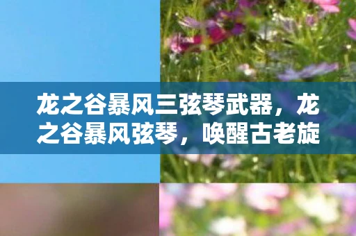 龙之谷暴风三弦琴武器，龙之谷暴风弦琴，唤醒古老旋律的奇幻之旅