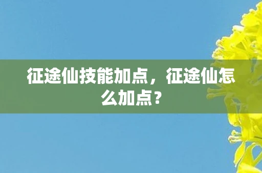 征途仙技能加点，征途仙怎么加点？