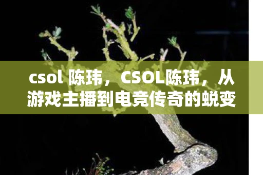 csol 陈玮，CSOL陈玮，从游戏主播到电竞传奇的蜕变之路