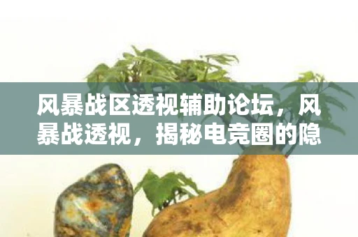 风暴战区透视辅助论坛，风暴战透视，揭秘电竞圈的隐秘战术与策略