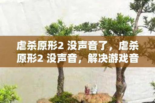 虐杀原形2 没声音了，虐杀原形2 没声音，解决游戏音频问题的全面指南