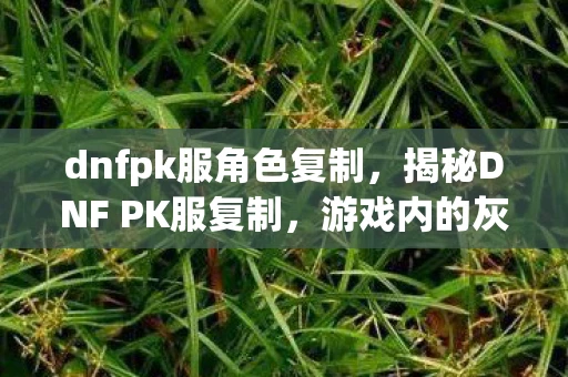 dnfpk服角色复制，揭秘DNF PK服复制，游戏内的灰色产业链