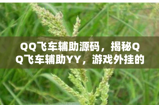 QQ飞车辅助源码，揭秘QQ飞车辅助YY，游戏外挂的灰色地带与风险警示