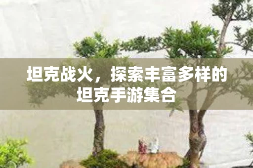 探索丰富多样的坦克手游集合图片