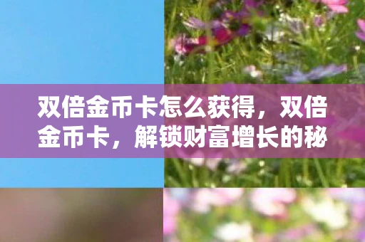 双倍金币卡怎么获得，双倍金币卡，解锁财富增长的秘密武器
