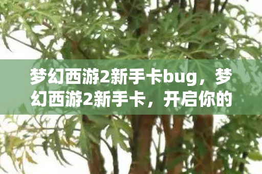 梦幻西游2新手卡bug，梦幻西游2新手卡，开启你的西游之旅