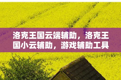洛克王国云端辅助，洛克王国小云辅助，游戏辅助工具的风险与合规性探讨