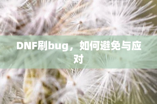 DNF刷bug，如何避免与应对