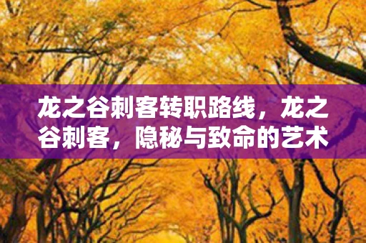 龙之谷刺客转职路线，龙之谷刺客，隐秘与致命的艺术