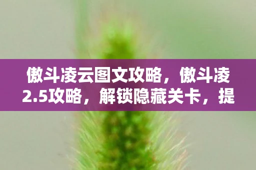 傲斗凌云图文攻略，傲斗凌2.5攻略，解锁隐藏关卡，提升战斗力的终极指南