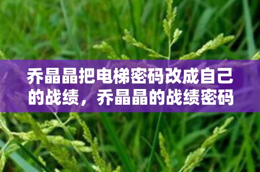 乔晶晶把电梯密码改成自己的战绩，乔晶晶的战绩密码背后的故事，电竞女神的自信与坚持