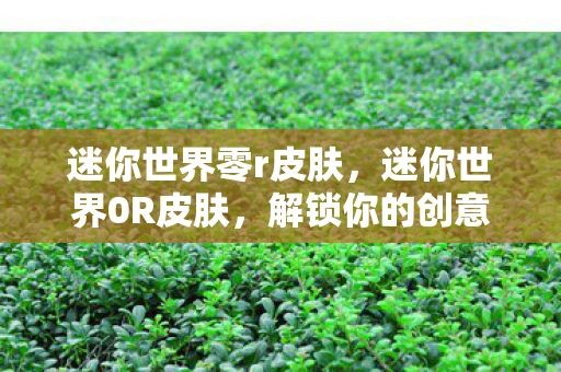 迷你世界零r皮肤，迷你世界0R皮肤，解锁你的创意与个性