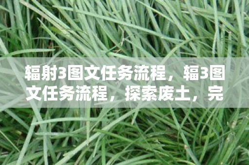 辐射3图文任务流程，辐3图文任务流程，探索废土，完成关键任务