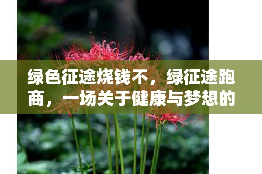 绿色征途烧钱不，绿征途跑商，一场关于健康与梦想的奔跑之旅