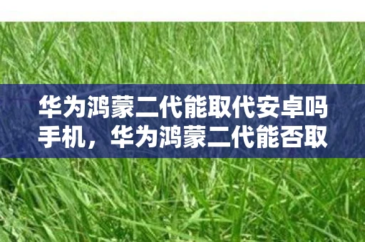 华为鸿蒙二代能取代安卓吗手机，华为鸿蒙二代能否取代安卓？