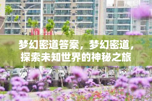 梦幻密道答案，梦幻密道，探索未知世界的神秘之旅