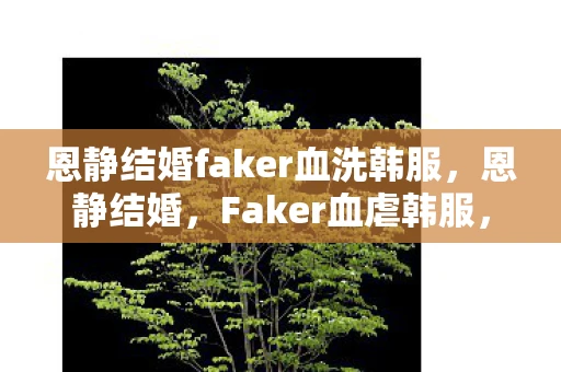 恩静结婚faker血洗韩服，恩静结婚，Faker血虐韩服，电竞传奇的复杂情感