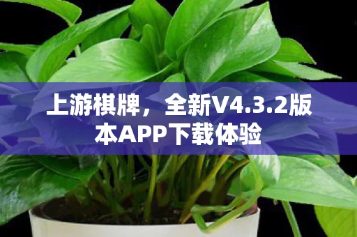 2版本APP下载体验图片