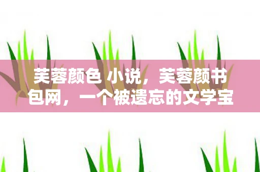 芙蓉颜色 小说，芙蓉颜书包网，一个被遗忘的文学宝藏