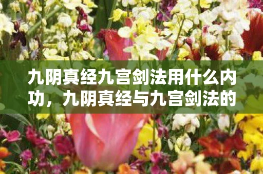 九阴真经九宫剑法用什么内功，九阴真经与九宫剑法的奥秘