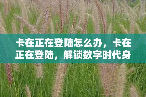 卡在正在登陆怎么办，卡在正在登陆，解锁数字时代身份认证的新挑战
