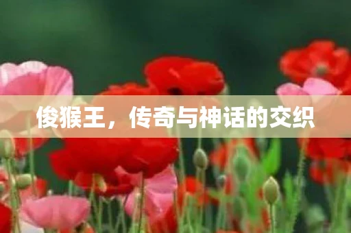 俊猴王，传奇与神话的交织