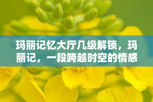 玛丽记忆大厅几级解锁，玛丽记，一段跨越时空的情感之旅