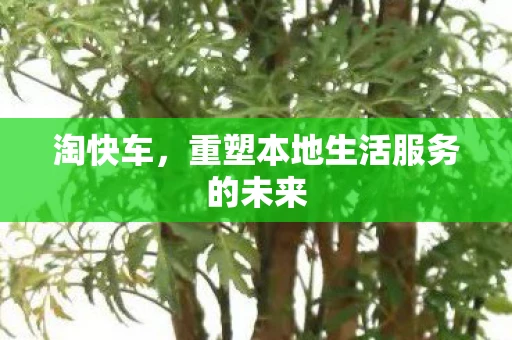 淘快车，重塑本地生活服务的未来