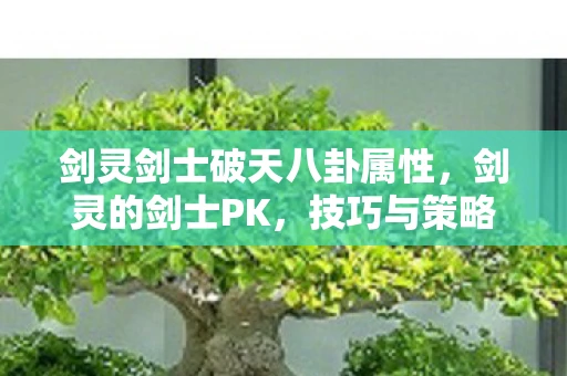 剑灵剑士破天八卦属性，剑灵的剑士PK，技巧与策略