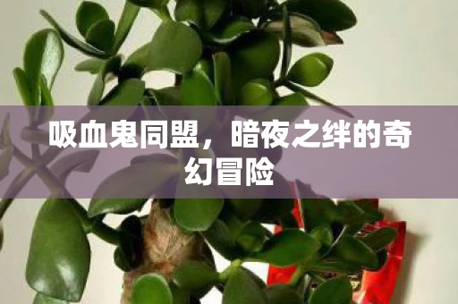 暗夜之绊的奇幻冒险图片