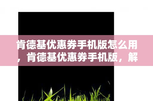 肯德基优惠券手机版怎么用，肯德基优惠券手机版，解锁更多美味，享受优惠折扣！