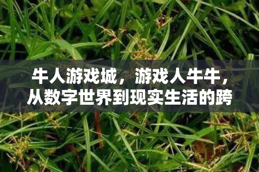 牛人游戏城，游戏人牛牛，从数字世界到现实生活的跨界探索