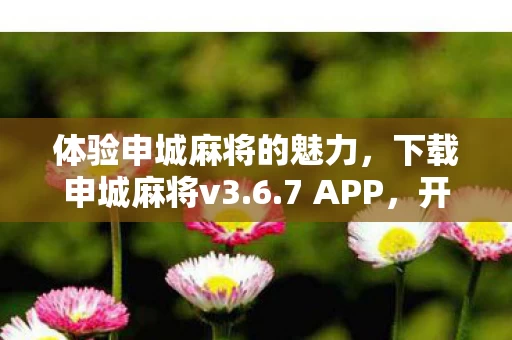 体验申城麻将的魅力图片