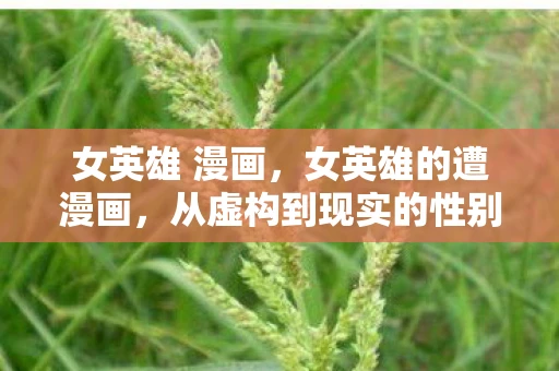 女英雄 漫画，女英雄的遭漫画，从虚构到现实的性别偏见