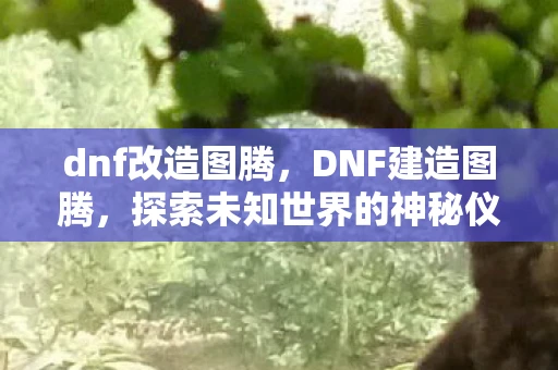 dnf改造图腾，DNF建造图腾，探索未知世界的神秘仪式