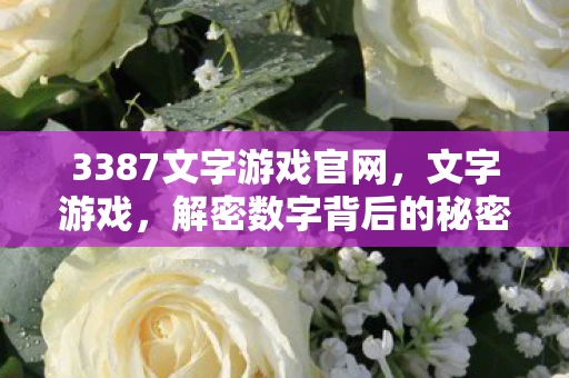 3387文字游戏官网，文字游戏，解密数字背后的秘密
