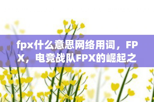 fpx什么意思网络用词，FPX，电竞战队FPX的崛起之路