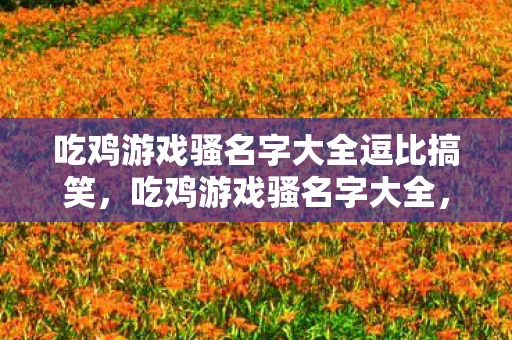 吃鸡游戏骚名字大全逗比搞笑，吃鸡游戏骚名字大全，让你的游戏角色更有个性