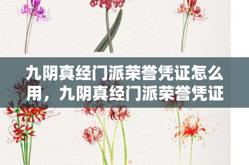 九阴真经门派荣誉凭证怎么用，九阴真经门派荣誉凭证的神奇用途