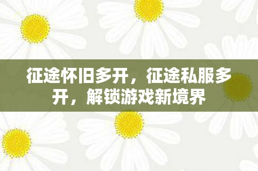 征途怀旧多开，征途私服多开，解锁游戏新境界