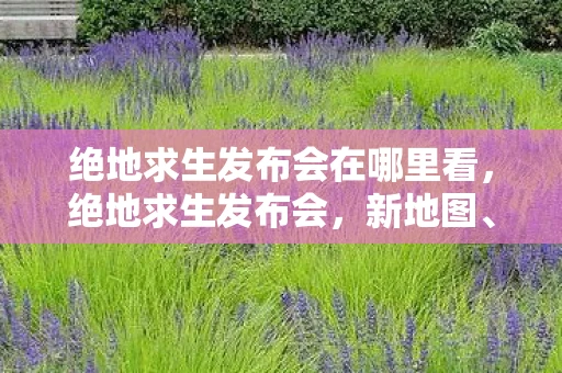 绝地求生发布会在哪里看，绝地求生发布会，新地图、新玩法，带你领略吃鸡新境界